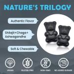 OEM Private Label Bear Shape Organic Pure 1400mg Himalayan Shilajit Gummies Chaga Shilajit Ashwagandha Extract