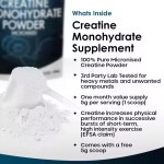 Factory OEM Private Labels 500g Creatine Monohydrate Pure Powder 200 Mesh Dietary Supplement for Muscle Building
