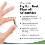 OEM ODM High Absorbency Psyllium Husk Capsules Probiotics 4000mg Psyllium Husk & Acidophilus Capsules