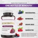 OEM/ODM/OBM Natural Pure Organic 99% Resveratrol Capsules Premium Formula Brain Focus Capsule for Adults
