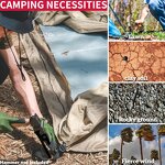 Tent Stakes Factory - Heavy Duty Forged Steel Metal Pegs 40cm-10pcs