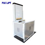 Home Elevator Platform Manufacturer - 250kg 1-6m Stair Disable Handicap Platform