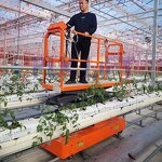 Four-Wheel Pipe Rail Trolley Factory - Roll Container for Harvest OEM Customizable