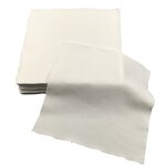 Cleanroom Wipers Manufacturer - Professional Grade 9x9 Lint Free