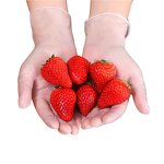 Disposable Vinyl Gloves Supplier - Clear Powder Free Wholesale