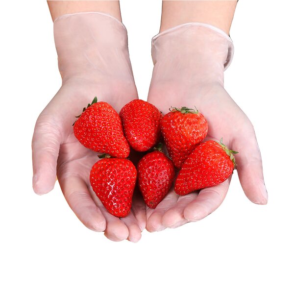 Disposable Vinyl Gloves Supplier - Clear Powder Free Wholesale