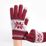 Touchscreen Gloves Manufacturer - HZS-25045 Warm Fleece Lined