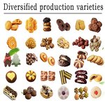 Biscuit Making Machine Manufacturer - Y Multi-Mold Fully