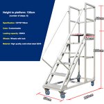 Cold-rolled Steel Ladder Supplier - New Arrivals High-quality