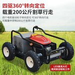 Electric Riding Mower Supplier - New Energy Garden Cutting