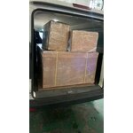 Commercial Fishing Boat Manufacturer - Bait Boat with Motor