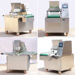 Biscuit Making Machine Manufacturer - Y Multi-Mold Fully
