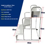 Industrial Ladder Manufacturer - Modern Steel with Wheels