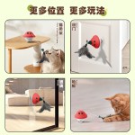 Eco-Friendly Easy-to-Use Plastic Pet Interactive & Movement Toys for Entertainment