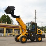 Telescopic Wheeled Loader Factory - 1 to 3 Ton Brand New Front Loader EPA Eur5