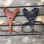 Leather Dog Harness Supplier - OEM/ODM Large Vest Walking