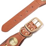 Customized Dog Collar Supplier - Premium Genuine Leather