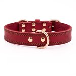 Pet Dog Collar Manufacturer - Premium Soft Genuine Leather