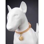 Italy Cowhide Collar Manufacturer - Premium Durable Cat