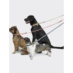 Vegetable Tanned Collar Supplier - Customized Pet Dog Cat