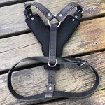 Leather Dog Harness Supplier - OEM/ODM Large Vest Walking