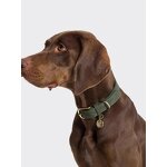 Vegetable Tanned Collar Supplier - Customized Pet Dog Cat