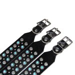 Studded Pet Collar Supplier - Custom Logo Fashionable