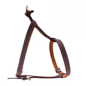 Dog Collar Manufacturer - Premium Cowhide Rivet