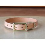 Studded Dog Collar Supplier - High Quality Custom LOGO
