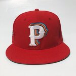 Custom Fitted Hats Supplier - 100% Polyester 6-Panel Flat Brim 3D Embroidery