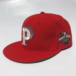 Custom Fitted Hats Supplier - 100% Polyester 6-Panel Flat Brim 3D Embroidery