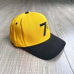 Men's Baseball Cap Factory - 5 Panel Two Tone Curved Brim 3D Embroidery National