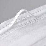 ES Face Masks Supplier - 3Ply Disposable Breathable for ISO 4 (class 10) Cleanroom