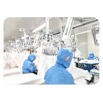 Disposable Latex Gloves Factory - OEM 11inch Hand Specific Sterile for Biotechnology