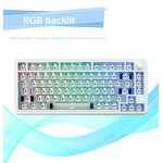 Mechanical Keyboard Kit Manufacturer - ZUOYA LS02 RGB