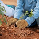 Kids Work Gloves Manufacturer - Custom Logo Genuine Leather Anti-Slip Touch Screen DIY Garden