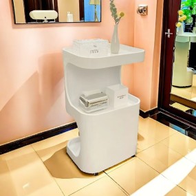 Hairdressing Cart Spa Beauty Salon Furniture Aesthetic Utility Trolley Laboratory Hair Medical Auxiliary Pedicure Bar