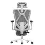 Ergonomic Office Chair with 3D Adjustable Armrests, Adjustable Lumbar Support High Back for Computer Chair, Big and Tall Mesh