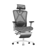 Ergonomic Office Chair with 3D Adjustable Armrests, Adjustable Lumbar Support High Back for Computer Chair, Big and Tall Mesh