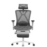 Ergonomic Office Chair with 3D Adjustable Armrests, Adjustable Lumbar Support High Back for Computer Chair, Big and Tall Mesh