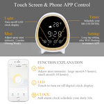 WIFI Diffuser Manufacturer - Intelligent with Alarm Clock