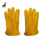 Pet Hair Removal Gloves Supplier - Two-Way Brush Electrostatic Plastic Sticky for Cats and Dogs