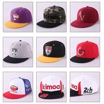 Flex Fit Hats Supplier - Manufacturer Wholesale Customized Logo Mens Womens Blanks Plains Cotton