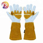 Elbow Length Garden Gloves Factory - Rose Gloves for Women and Men Pantyhose