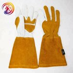 Elbow Length Garden Gloves Factory - Rose Gloves for Women and Men Pantyhose