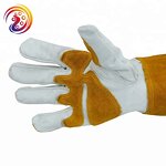 Elbow Length Garden Gloves Factory - Rose Gloves for Women and Men Pantyhose