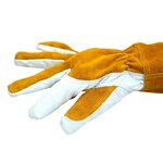 Elbow Length Garden Gloves Factory - Rose Gloves for Women and Men Pantyhose