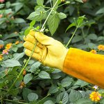 Full Grain Cowhide Gloves Manufacturer - Rose Gardening Long