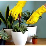 Dishwashing Gloves Manufacturer - Reusable Kitchen Household