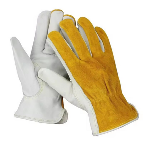 Motorcycle Leather Gloves Supplier - Thermal Motorbike Driving